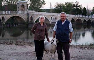 “Evladımız” dedikleri kuzu yaşlı çiftin can...