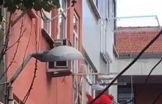 Fatih’te binaya ’Örümcek Adam’ gibi tırmanan...