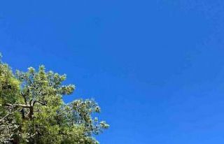 Fethiye’de orman yangını