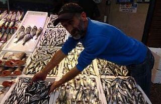 Fırtınada balıkçılar denize açılamayınca palamut...