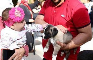 Gaziantep uygulaması ile puanını tamamlayanlara...