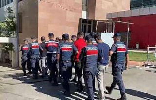 Gaziantep’te 13 fıstık hırsızı tutuklandı