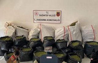Gaziantep’te 462 kilo uyuşturucu madde ele geçirildi