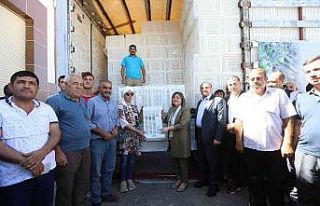 Gaziantep’te zeytin üreticilerine 40 bin hasat...