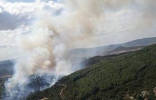 Gelibolu’daki orman yangını kontrol altına alındı