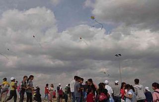 Gercüş’te yüzlerce genç uçurtma şenliğinde...