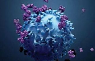 Güçlü bir bağışıklık sistemi, kanseri durdurabilir...