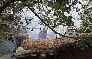 Gürpınar’da ahır yangını