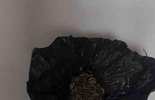 Güven timlerinden uyuşturucuya geçit yok