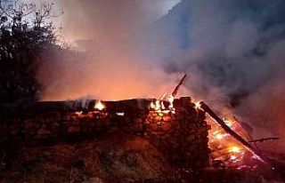 Hakkari’de 15 ton saman ve 250 bağ ot yandı