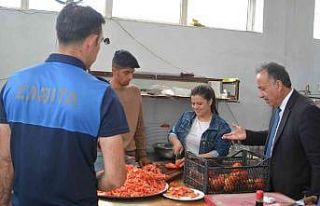 Hakkari’deki lokantalarda hijyen denetimi