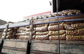 Halde patates ve soğan bolluğu