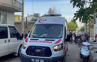 Halı silkelerken beton zemine çakıldı