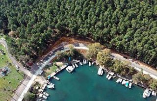 Hamsilos’un güzelliğine güzellik katan çalışmalarda...