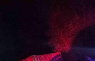 Hayvan yüklü kamyonet ile traktör çarpıştı:...