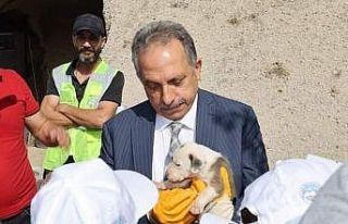 Hayvanları Koruma Günü’nde ‘hayvan mezarlığı’...