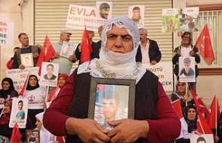HDP-PKK mağduru aileler direniyor, evlat nöbetine...