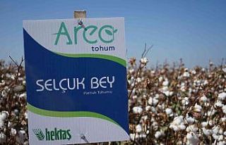 Hektaş, Dünya Pamuk Günü’nde iki milli tohumunu...