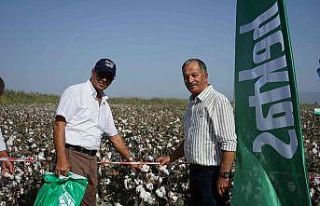 Hektaş’ın yeni pamuk tohumu Egeli çiftçilere...