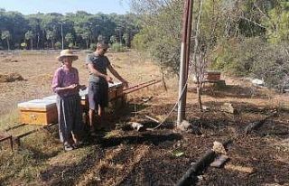 Hırsızların kestiği kablo ormanı yakıyordu