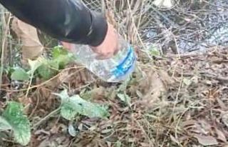 Iğdır’da apartman bodrumunda yakalanan su yılanı...