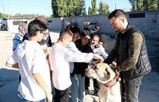 İkinci el otomobil fiyatına kangal