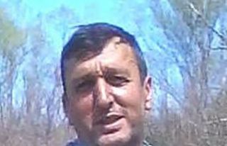 İş adamı, arı sokması sonucu vefat etti