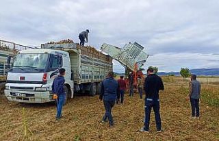İş kazasında ölen güvenlikçinin tarlada kalan...