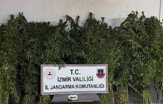 İzmir’in 4 ilçesinde zehir baskını: 14 gözaltı