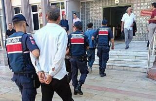 Jandarma ekipleri incir hırsızlarını suçüstü...