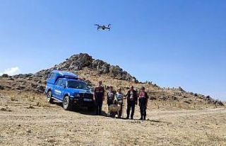 Jandarma, kaybolan 12 koyunu dron ile buldu