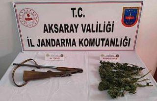 Jandarma odunlukta esrar ve tüfek ele geçirdi