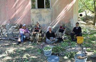 Jandarma yaşlılar ve çocukları sevindirdi