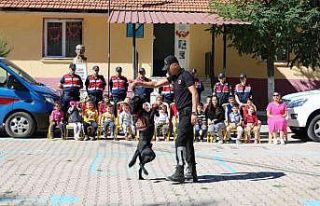 Jandarmadan Hayvanları Koruna Günü etkinliği