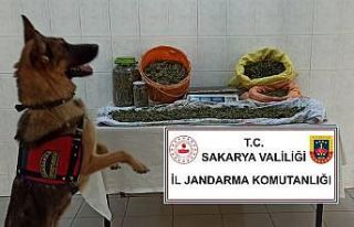 Jandarmadan iki ilçede uyuşturucu operasyonu: 4...