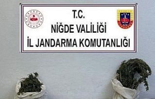 Jandarmadan uyuşturucu operasyonu