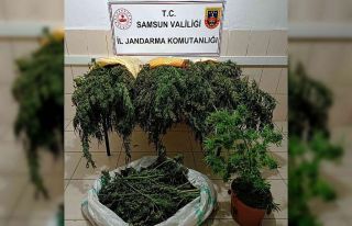 Jandarmadan uyuşturucu ve kaçakçılık operasyonları:...