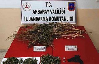 Jandarmanın operasyonunda uyuşturucu ve tabanca...