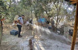 Kadirli’de haşereyle mücadele