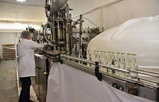 Karatay’ın lavantası ekonomiye katkı sağlıyor