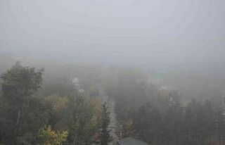 Kars’ta yoğun sis