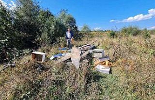 Kastamonu’da ayılar arı kovanlarını parçaladı