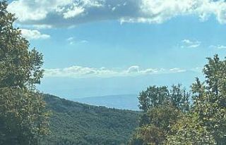 Kaybettiği hayvanları  jandarma buldu