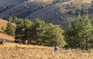 Kayıp olarak aranan şahsın cesedi ormanlık alanda...