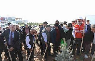Kayseri’nin denizi ağaçlandırılıyor