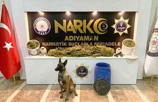 ‘Kendal’ zehir tacirlerinin korkulu rüyası oldu