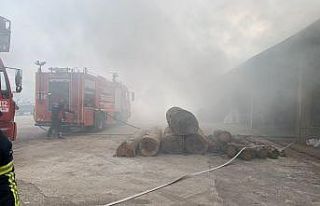 Kereste fabrikasında yangın