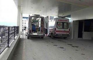 Kestane toplarken ayı saldırısına uğraşan şahıs...