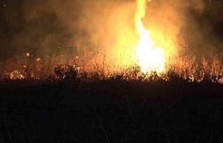 Kırıkkale’de anız yangını