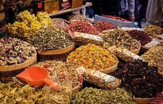 Kış çayına talep arttı, kilosu 300 lira